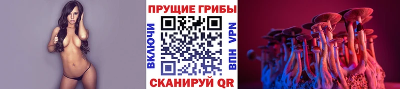 Галлюциногенные грибы Psilocybine cubensis  Сураж 